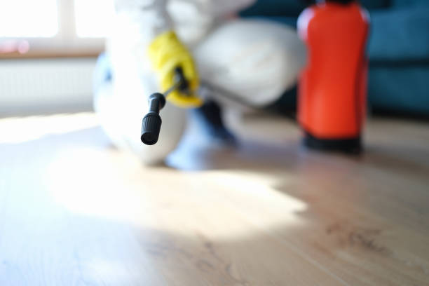 Professional Mold Removal in Audubon Park, NJ